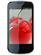 Best available price of Celkon A19 in Belize