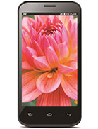 Best available price of Lava Iris 505 in Belize