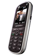 Best available price of Motorola WX288 in Belize