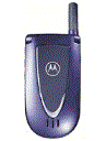 Best available price of Motorola V66i in Belize